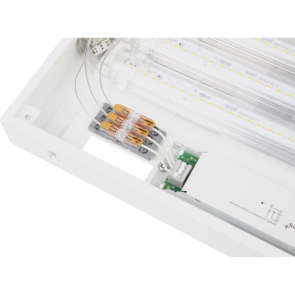 WAGO Verbindungsklemme WAGO 221-2411 Verbindungsklemme flexibel: 0.14-4 mm² starr: 0.2-4 mm²
