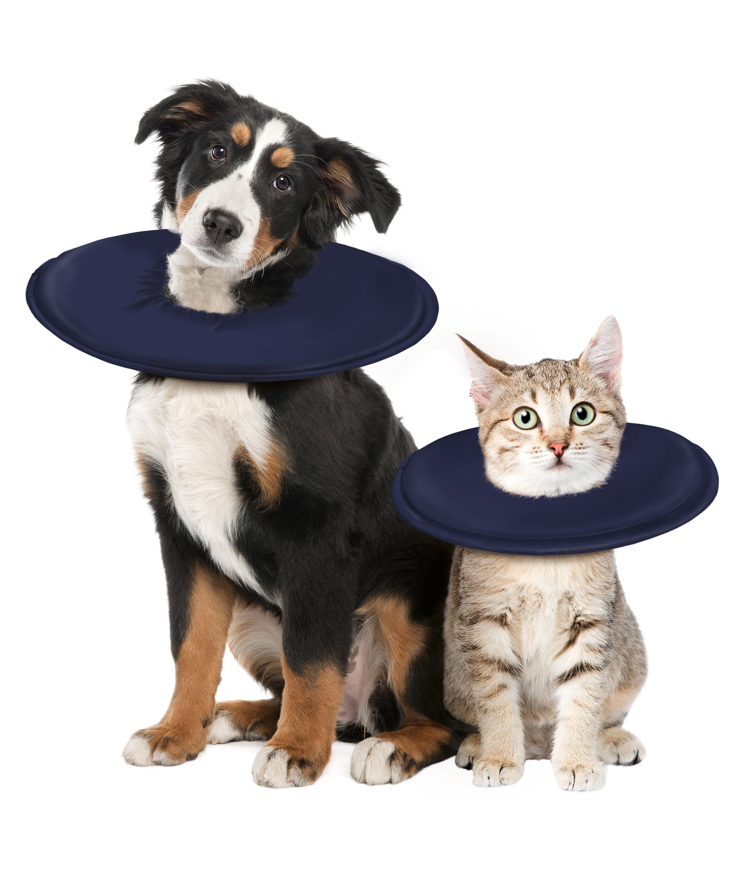 Dehner Hunde-Geschirr Leckschutzkragen für Hunde/Katzen, versch. günstig online kaufen
