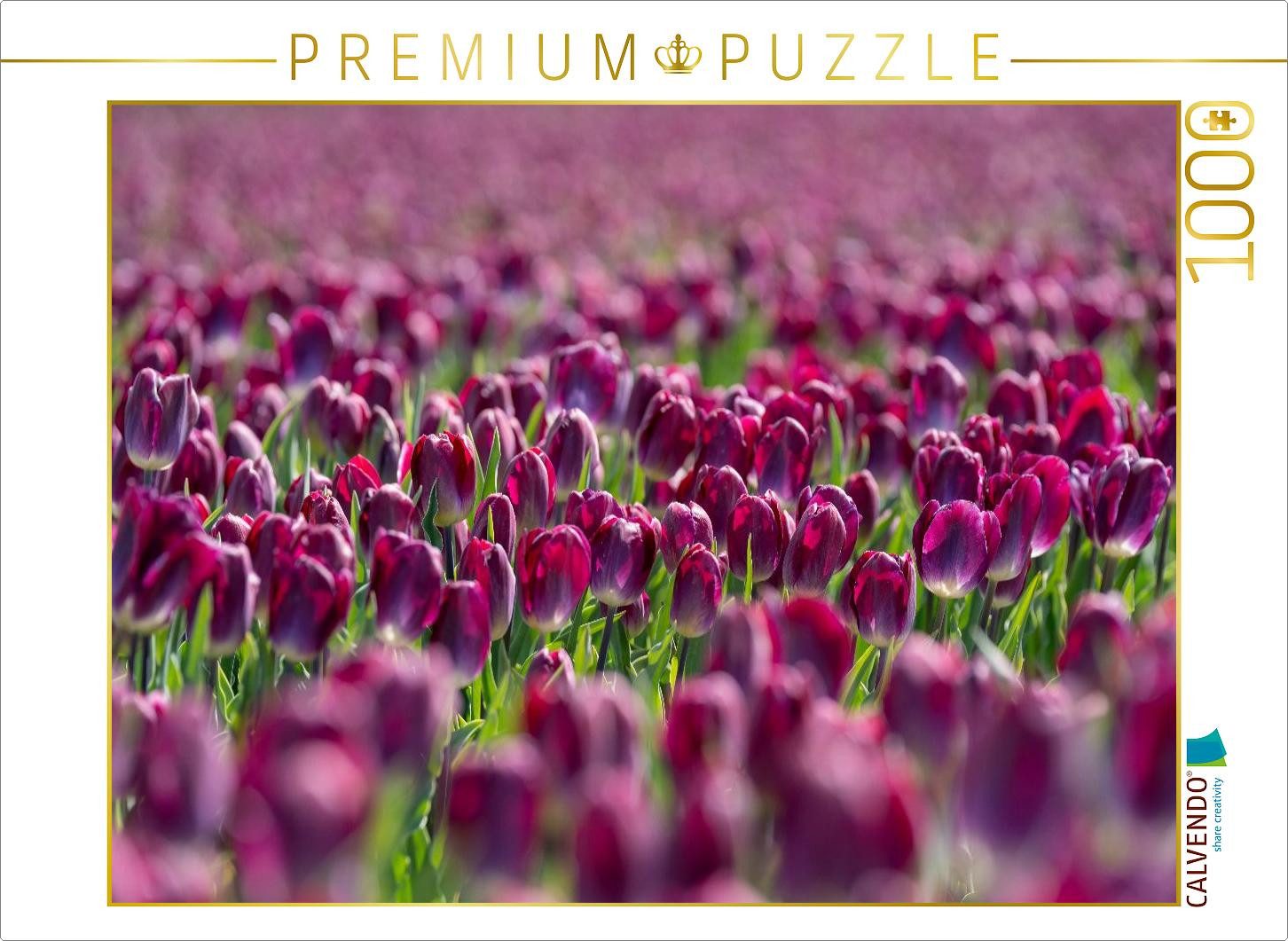 CALVENDO Puzzle CALVENDO Puzzle Prächtiges lila Tulpenfeld in Julianadorp, 1000 Teile, 1000 Puzzleteile