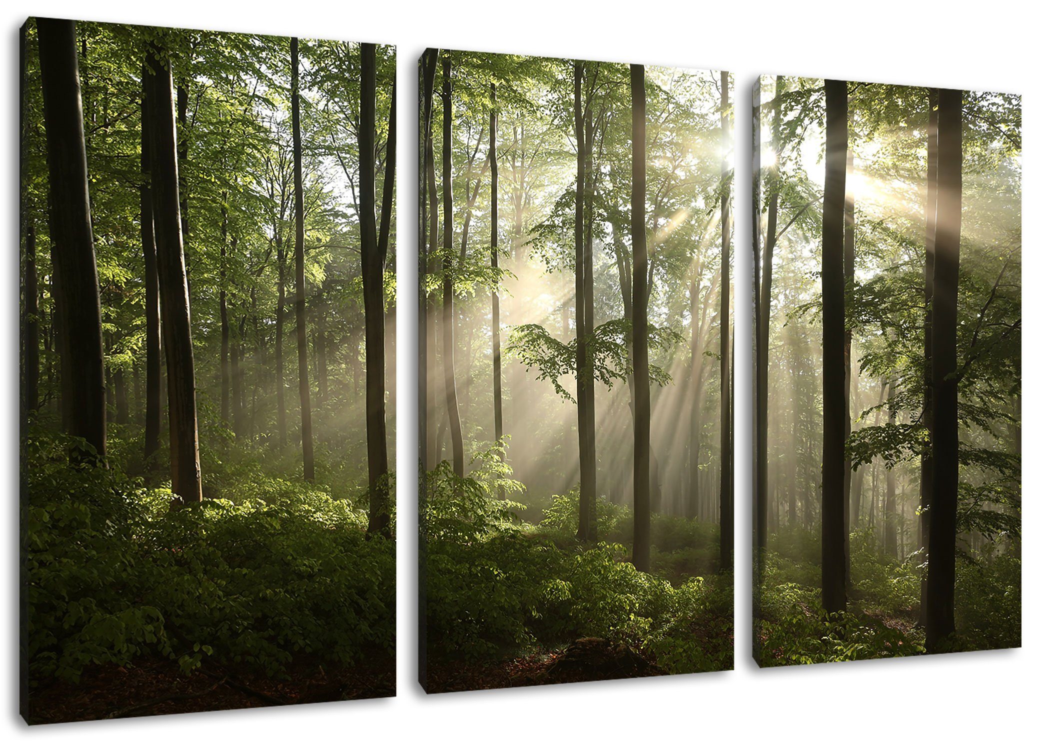 Pixxprint Leinwandbild Sonnenstrahlen im Wald, Sonnenstrahlen im Wald 3Teiler (120x80cm) (1 St), Leinwandbild fertig bespannt, inkl. Zackenaufhänger