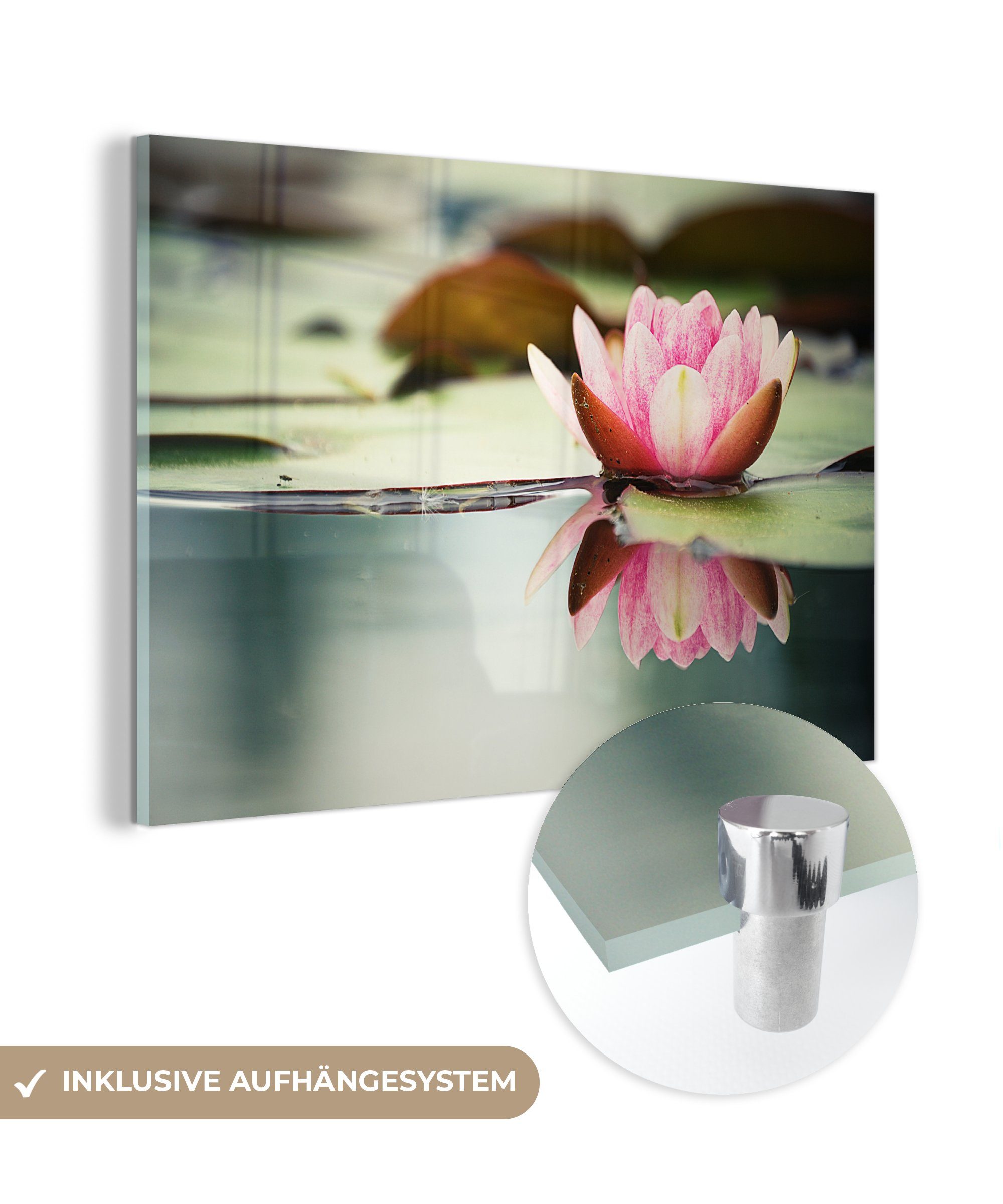 MuchoWow Acrylglasbild Seerose - Blumen - Wasser, (1 St), Acrylglasbilder Wohnzimmer & Schlafzimmer | Bilder