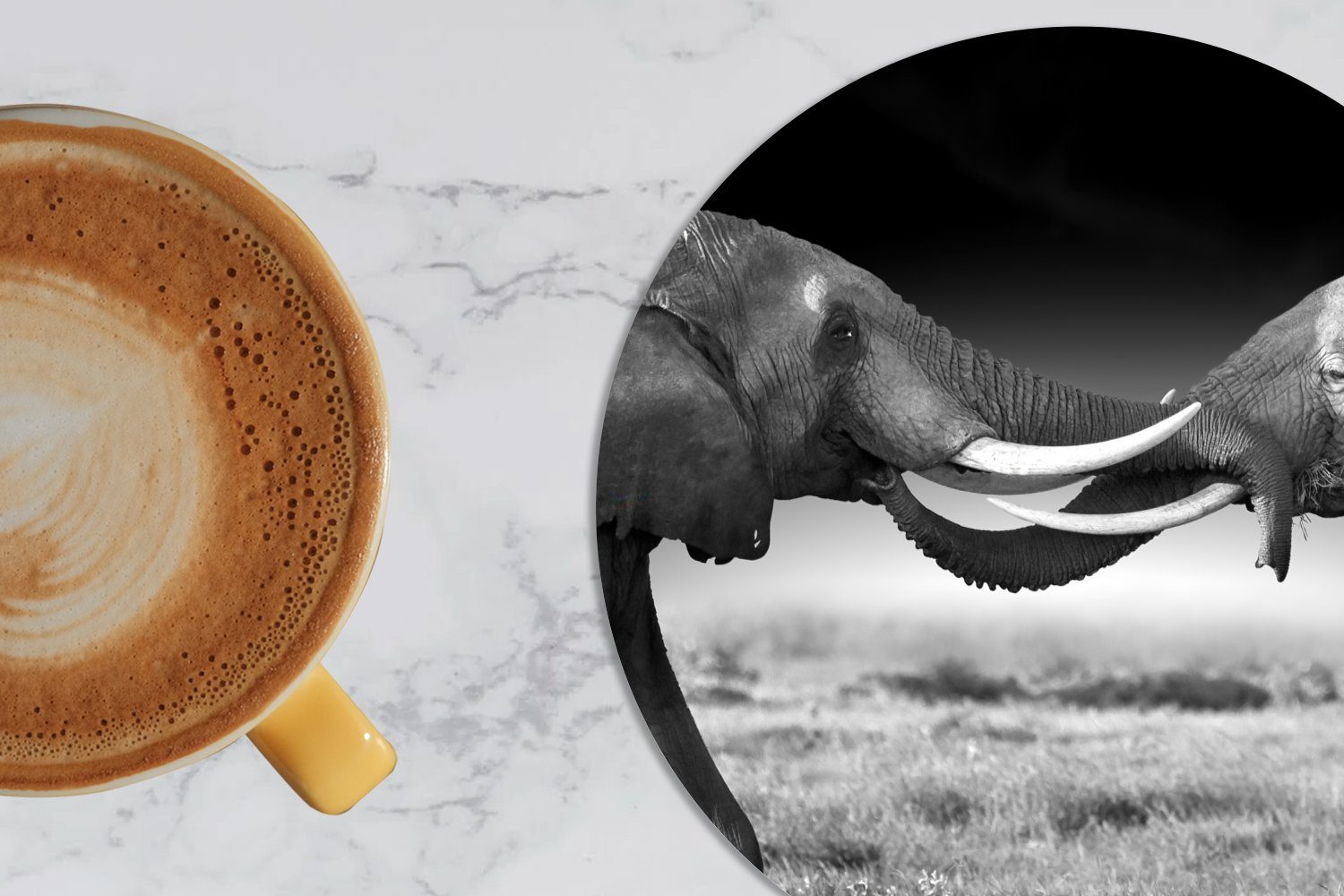 Getränkeuntersetzer, - Tassenuntersetzer, Porträt Schwarz Korkuntersetzer, Landschaft, für Tasse, MuchoWow und - Becher Tiere Gläser, - - weiß Elefant Zubehör 6-tlg., Glasuntersetzer