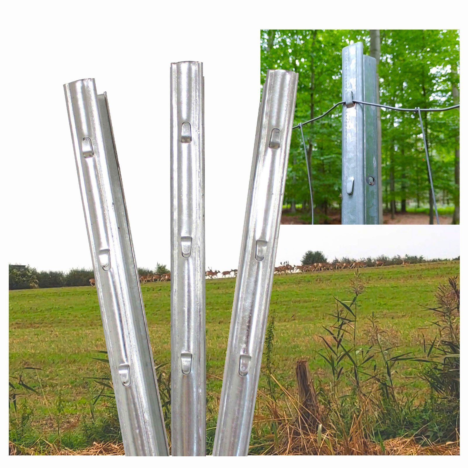 TRUTZHOLM Zaunpfosten Z-Profil 215 cm verzinkt 20x Zaunpfähle inkl. Haken F günstig online kaufen