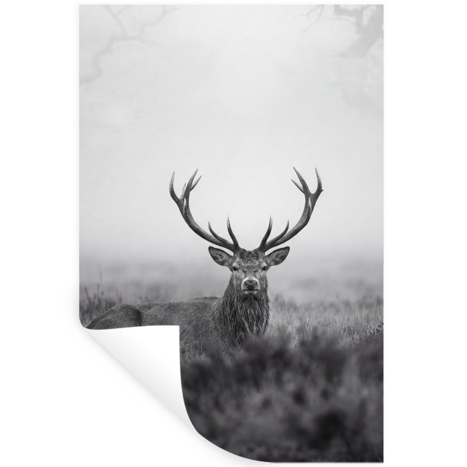 MuchoWow Wandsticker Hirsch - Neblig - Schwarz - Weiß (1 St), Wanddeko, Aufkleber, Wandtattoo, 60x90 cm