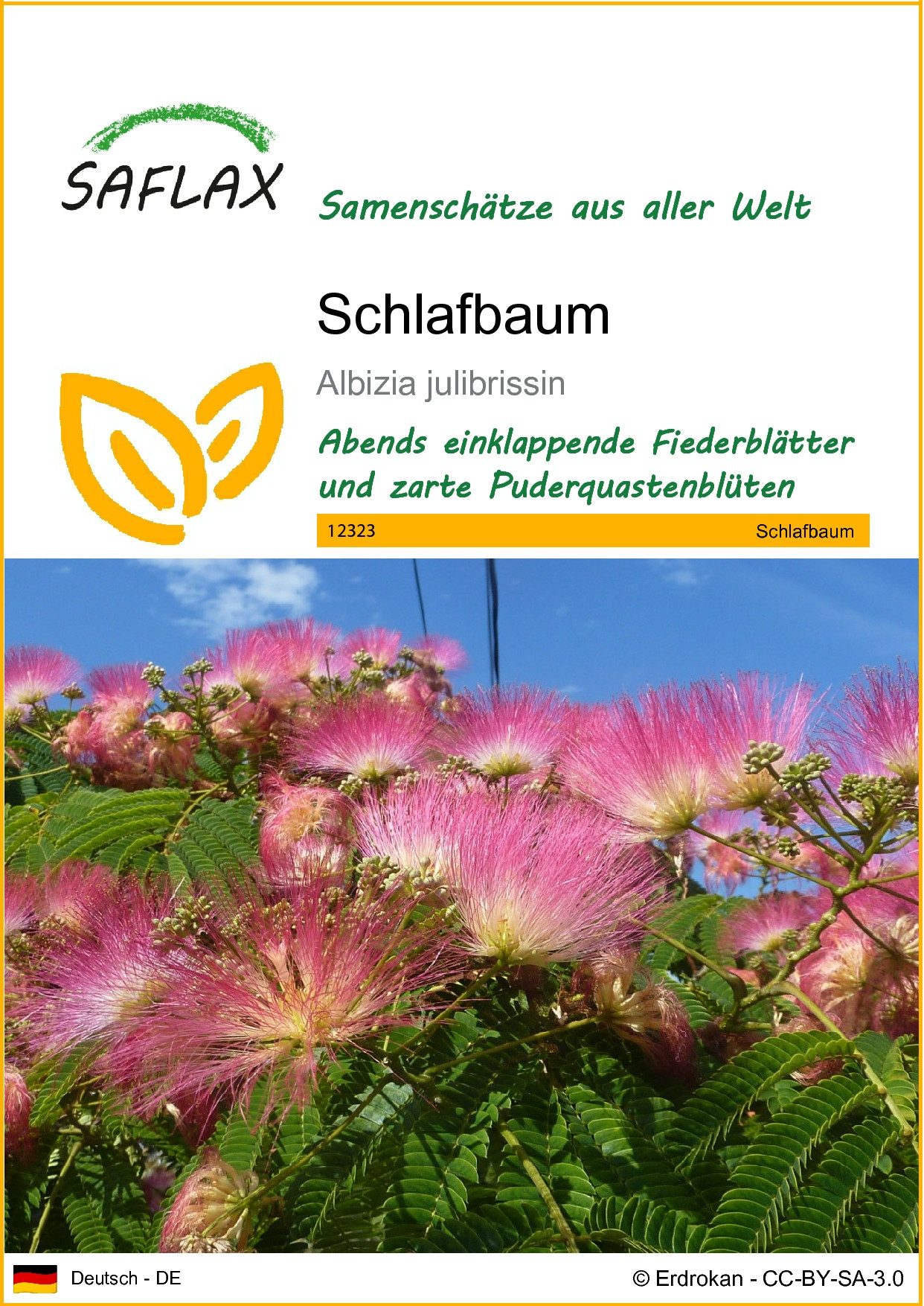 SAFLAX Blumensamen SAFLAX - - Schlafbaum günstig online kaufen
