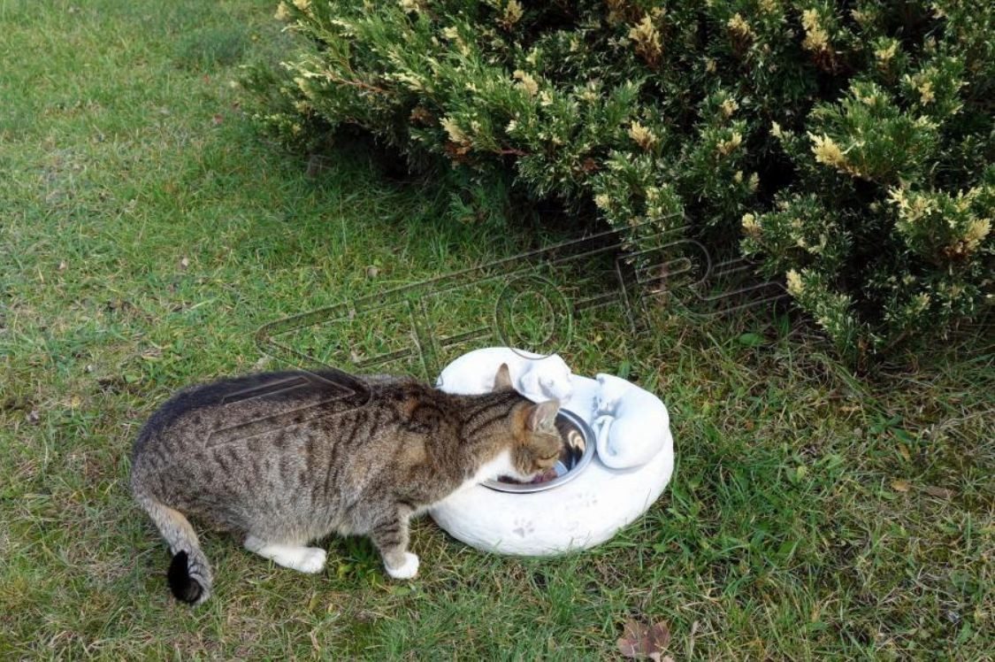 Xlmoebel Napf Hygienischer Trinkbrunnen für frisches Wasser für Hunde und Katzen, Fine Crete, Hergestellt in Europa