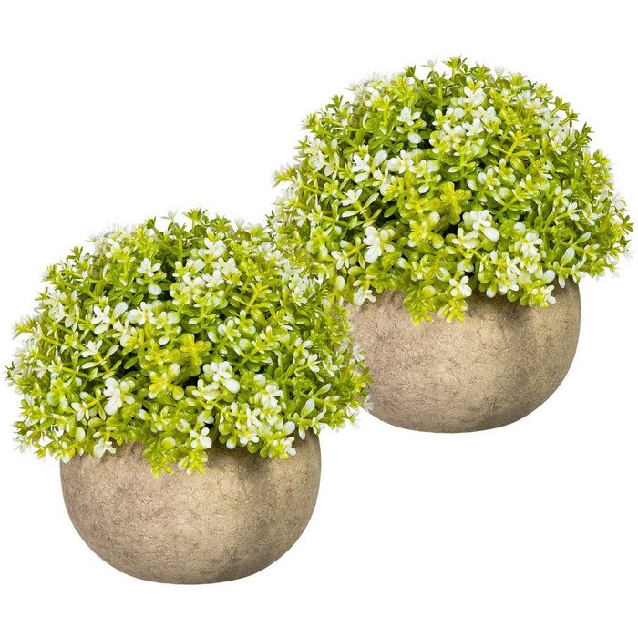 Künstliche Zimmerpflanze Miniblattkugel Grünpflanze Creativ green Höhe 12 cm 2er Set im Paperpot