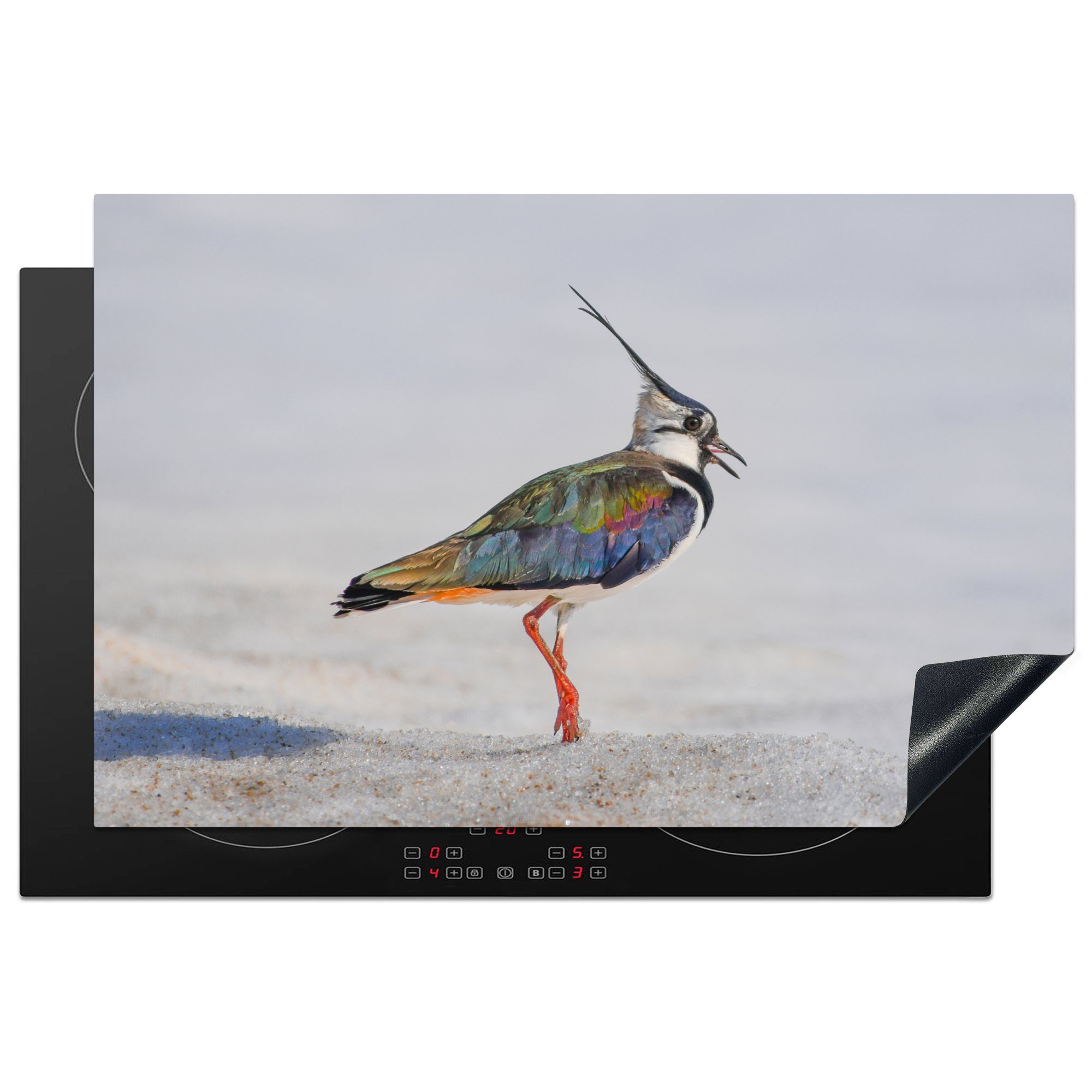 MuchoWow Herdblende-/Abdeckplatte Vogel - Tiere - Sand - Kiebitz, Vinyl, (1 tlg), 81x52 cm, Ceranfeldabdeckung, Arbeitsplatte für küche