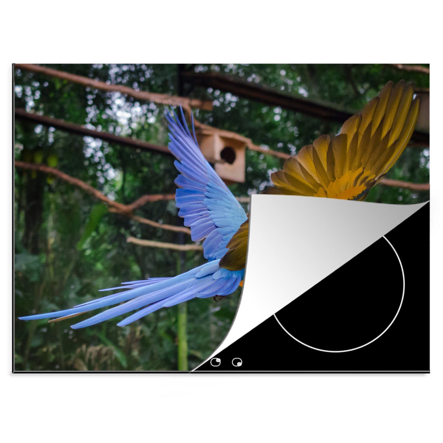 MuchoWow Herdblende-/Abdeckplatte Farbenfrohe blaue Meise im Flug, Vinyl, (1 tlg), 70x52 cm, Mobile Arbeitsfläche nutzbar, Ceranfeldabdeckung