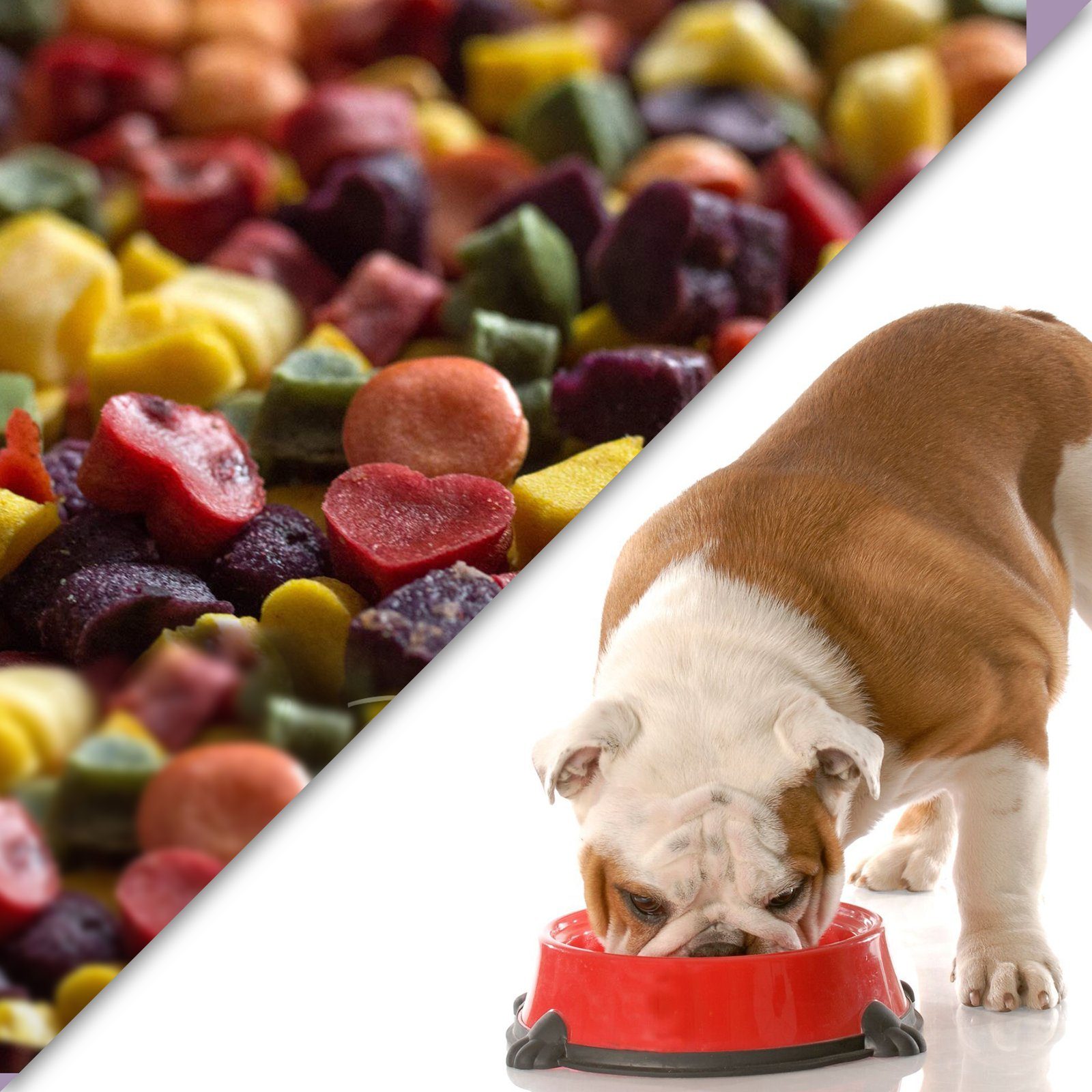 in Leckerlis Aus Backform hochwertigem Ausstechform Herz Backmatte, Silicagel für Lebensmittelqualität und CALIYO Silikon Hundekekse (1,5cm),