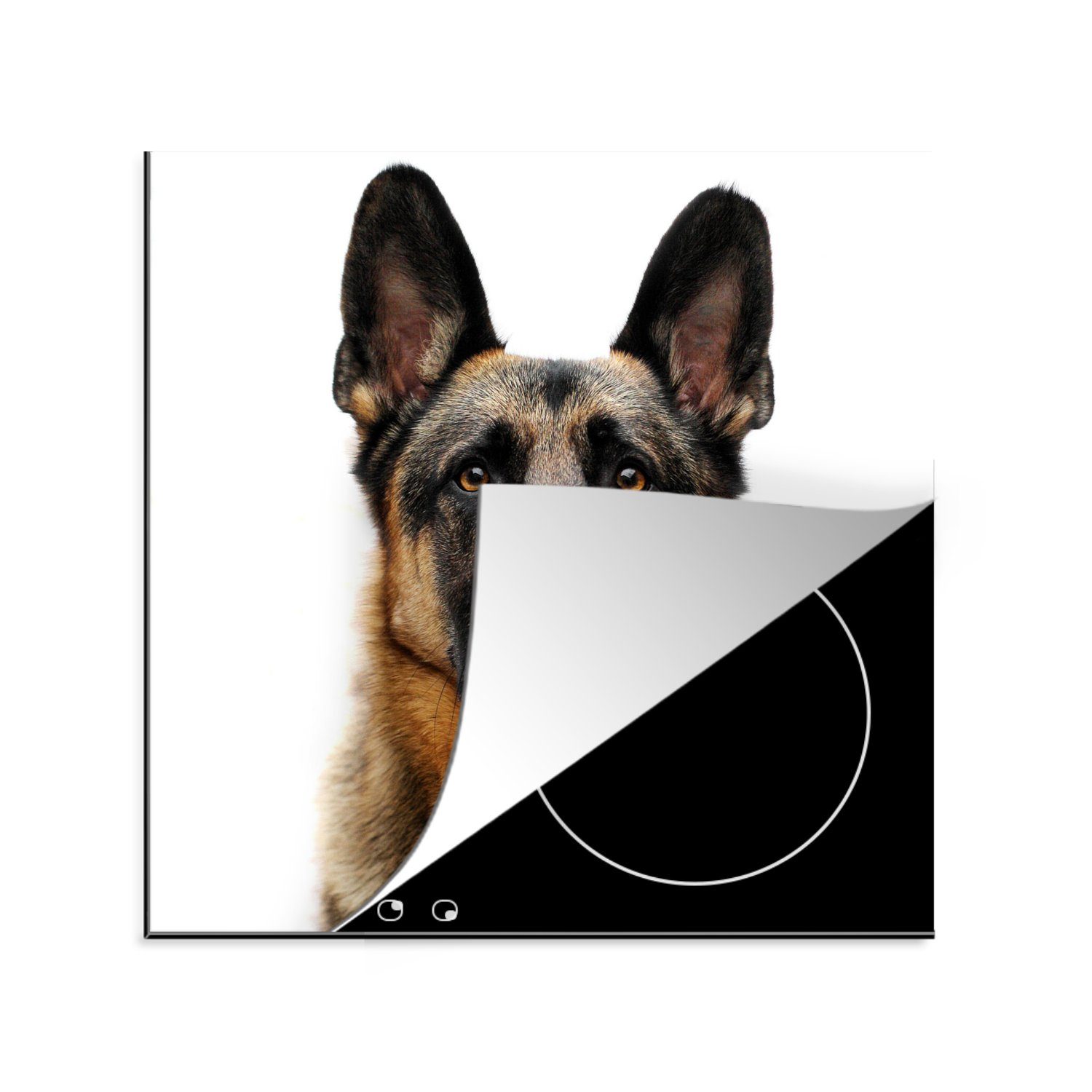 MuchoWow Herdblende-/Abdeckplatte Deutscher Schäferhund mit weißem Hintergrund, Vinyl, (1 tlg), 78x78 cm, Ceranfeldabdeckung, Arbeitsplatte für küche