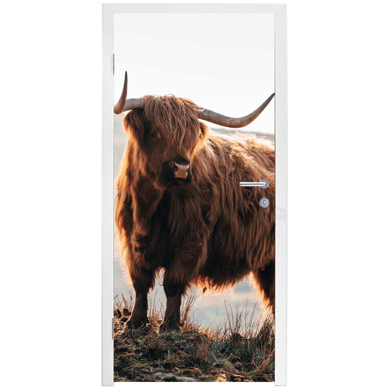 75x205 - - Matt, Natur, Tür, Türtapete St), - Ländlich Landschaft MuchoWow (1 Tiere - Kuh Fototapete - bedruckt, für Schottische cm Highlander Türaufkleber,