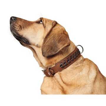 Hunter Tierbedarf Hunde-Halsband El Paso, Leder