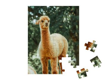 puzzleYOU Puzzle Das Lama, ein verbreitetes Haustier in Südamerika, 48 Puzzleteile, puzzleYOU-Kollektionen Lamas, Exotische Tiere & Trend-Tiere