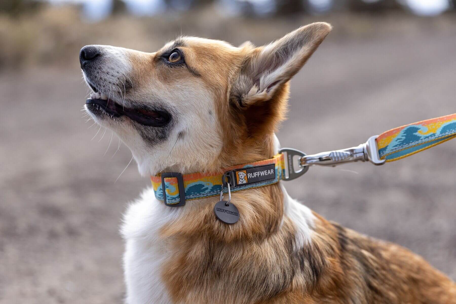 Ruffwear Hunde-Halsband Crag Collar