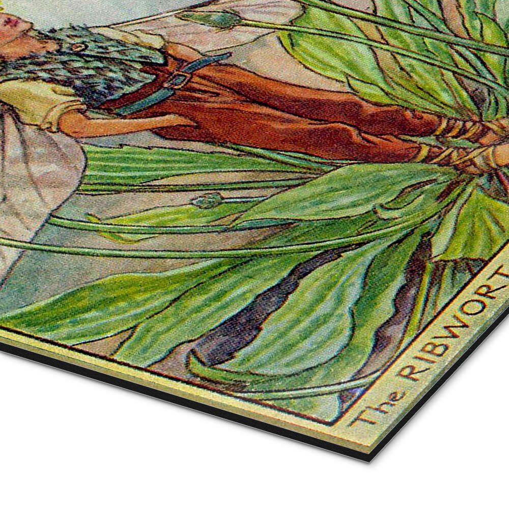 Posterlounge Wandbild Kleiner Elf im Sommer, Master Collection, erhältlich als Poster, Leinwandbild, Wandsticker oder Acrylglasbild