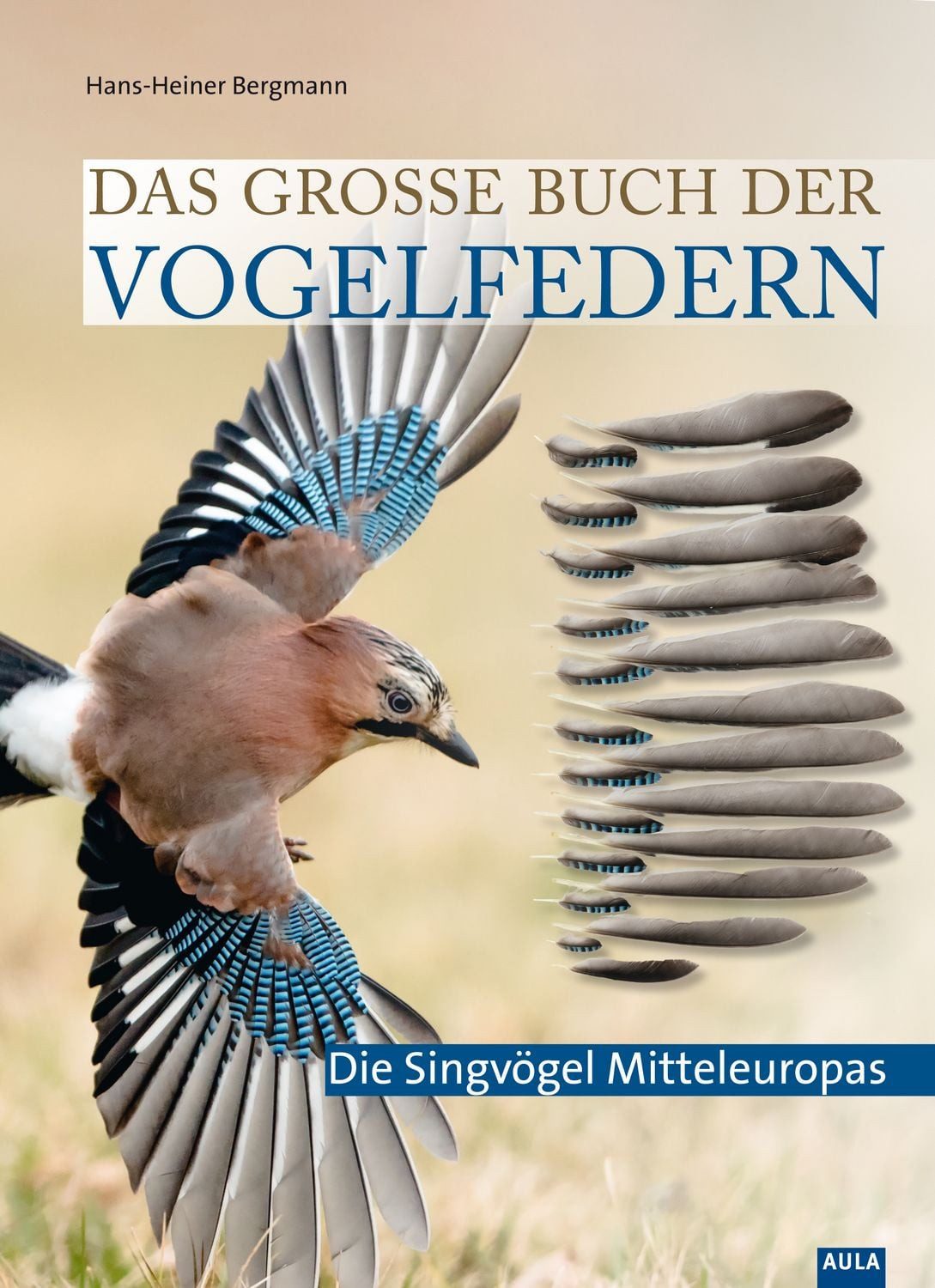 Ratgeber Das große Buch der Vogelfedern Die Singvögel Mitteleuropas Hans-Heiner Bergmann