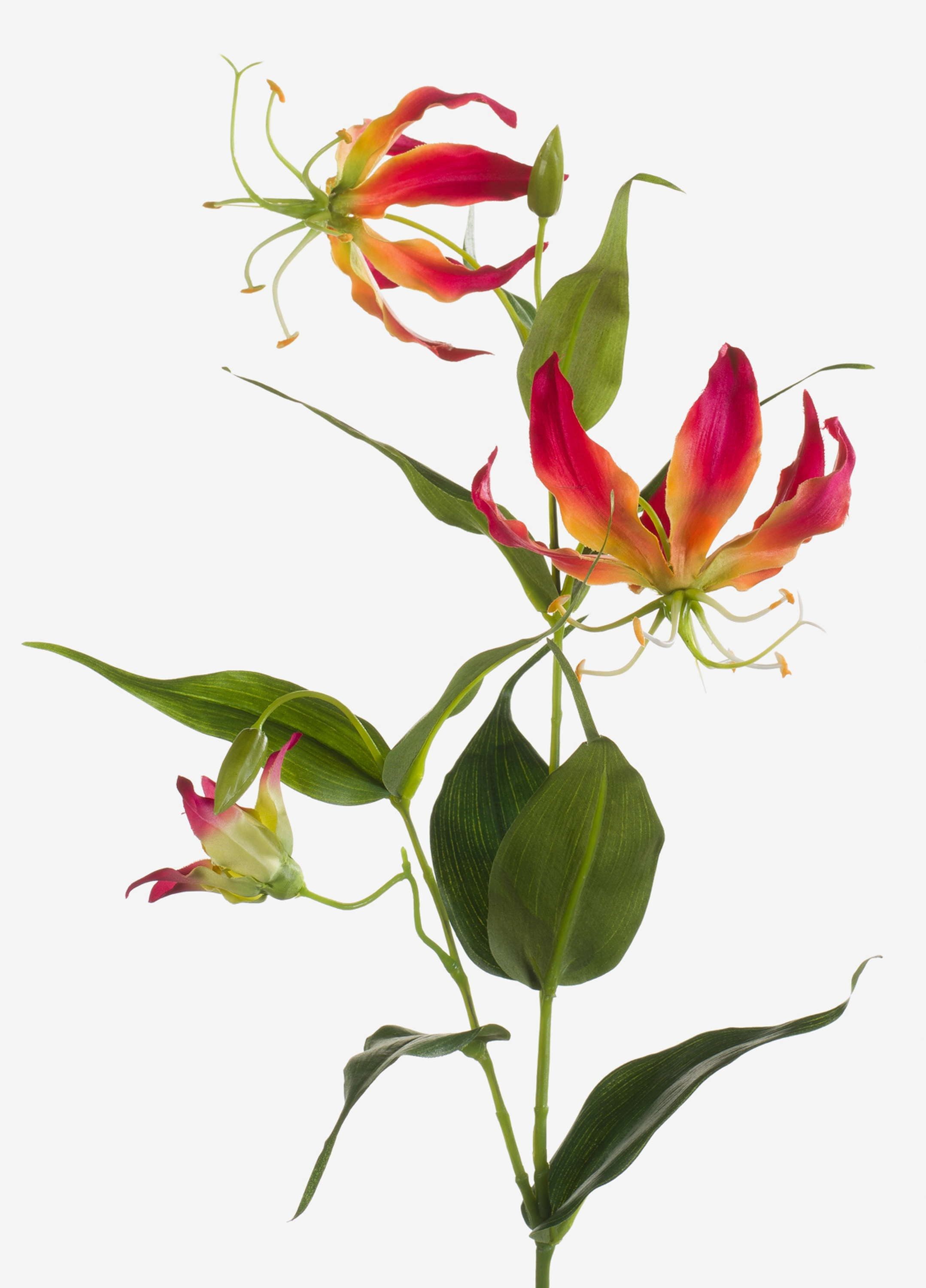 Kunstzweig Kunstblume Ruhmeskrone, pink - gelb, 80cm - Künstliche Gloriosa Gloriosa, artplants, Höhe 80.0 cm