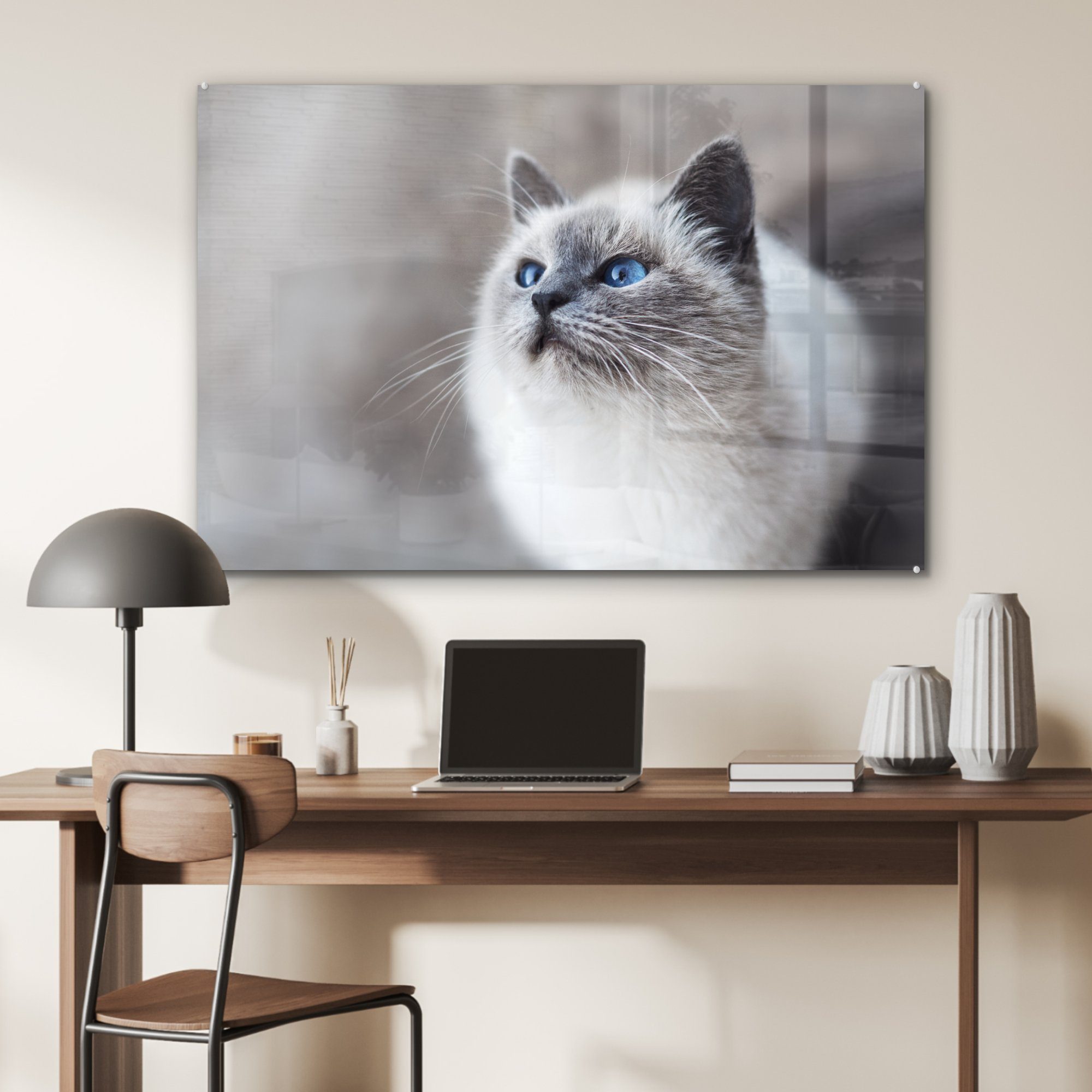 - & Acrylglasbilder - MuchoWow Katzen Haustiere Blau, Acrylglasbild Augen Schlafzimmer St), (1 Wohnzimmer -