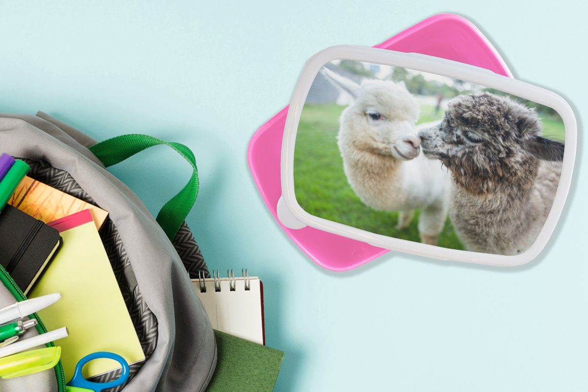 MuchoWow Lunchbox Alpakas - Tiere Kunststoff Snackbox, für Wolle, Brotdose rosa Kinder, Mädchen, (2-tlg), Kunststoff, Brotbox - Erwachsene