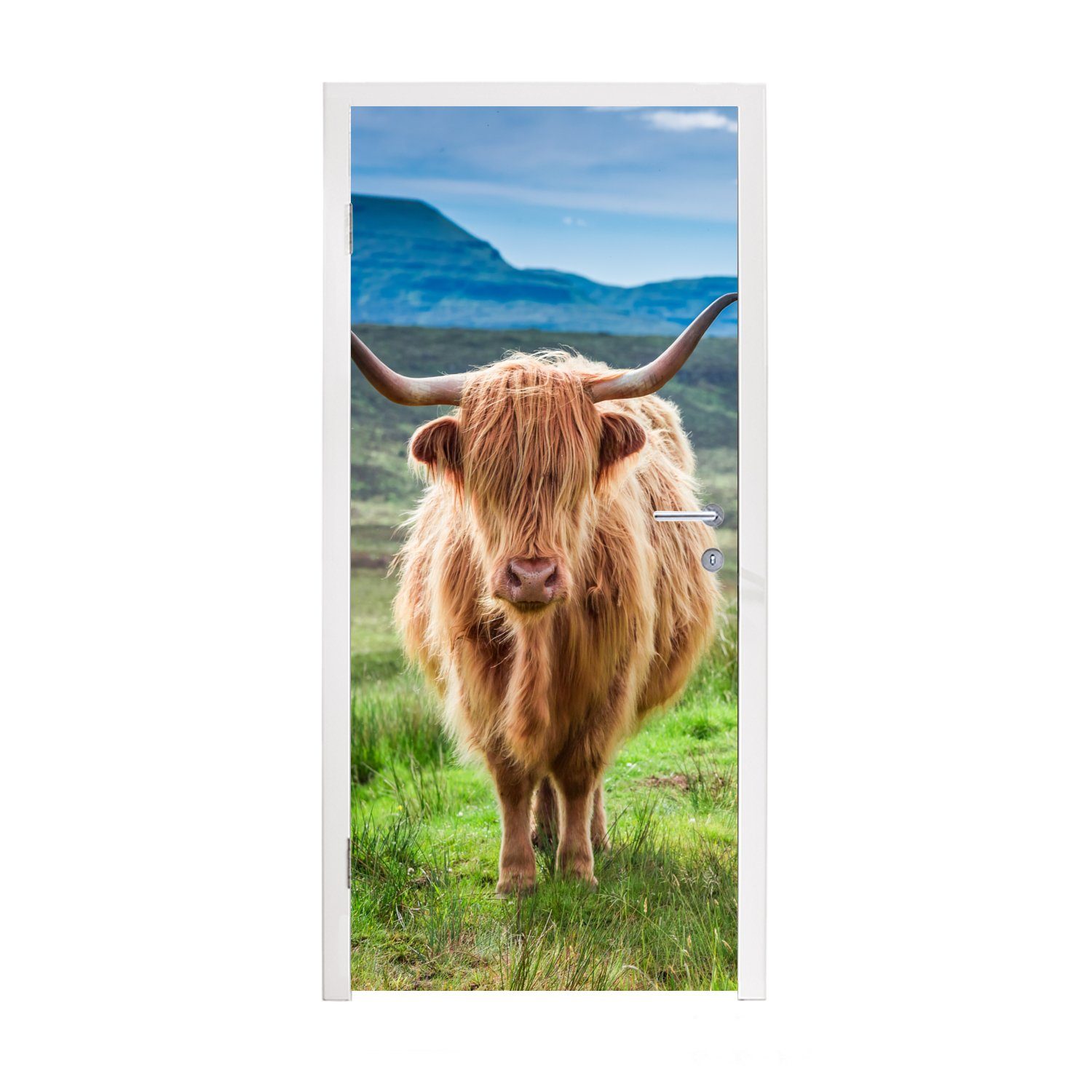 MuchoWow Türtapete Schottischer Hochländer - Kuh - Natur - Berg - Gras, Matt, bedruckt, (1 St), Fototapete für Tür, Türaufkleber, 75x205 cm