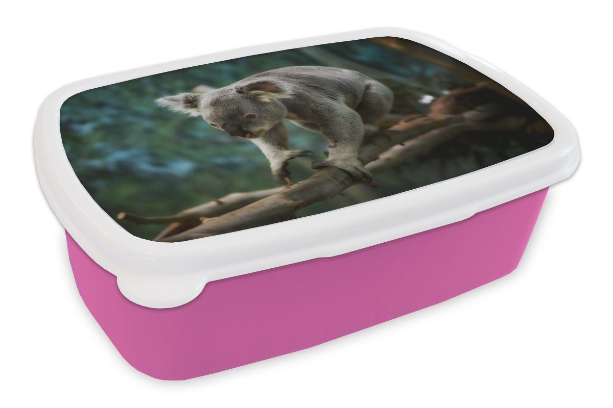 MuchoWow Lunchbox Koala - Baum - Äste - Kinder - Junge - Mädchen, Kunststoff, (2-tlg), Brotbox für Erwachsene, Brotdose Kinder, Snackbox, Mädchen, Kunststoff rosa