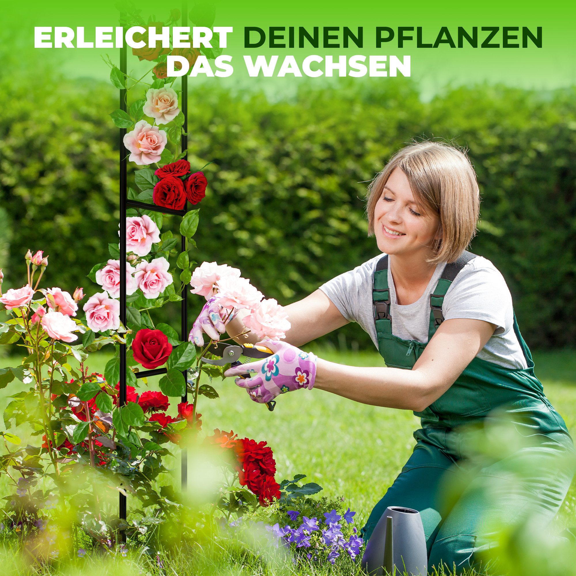 STAHLMANN COMMERCE GmbH Rosenbogen Metall, 240 × 140 × 37 cm, rostfrei, wetterfest, für Rankpflanzen Komplettset, Rosenbogen, rostfrei, wetterfest, kinderleicht aufzubauen