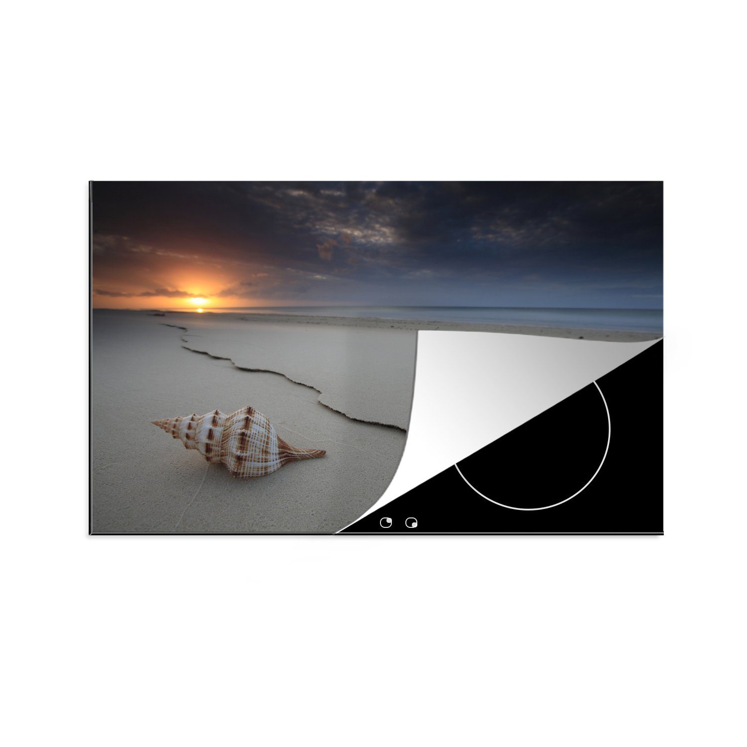 MuchoWow Herdblende-/Abdeckplatte Muschel am Strand von Queensland, Vinyl, (1 tlg), 81x52 cm, Induktionskochfeld Schutz für die küche, Ceranfeldabdeckung