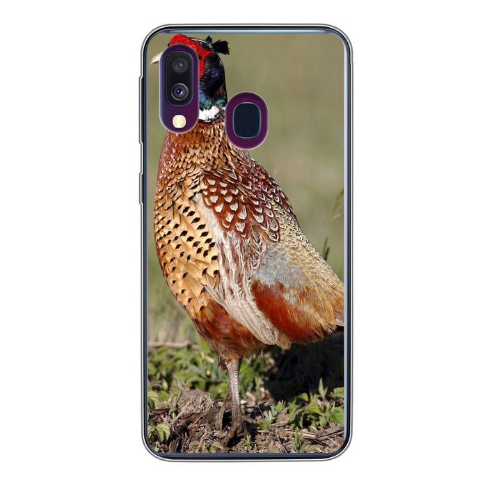 MuchoWow Handyhülle Fasan - Nahrung - Vogel Handyhülle Samsung Galaxy A40 Smartphone-Bumper Print Handy