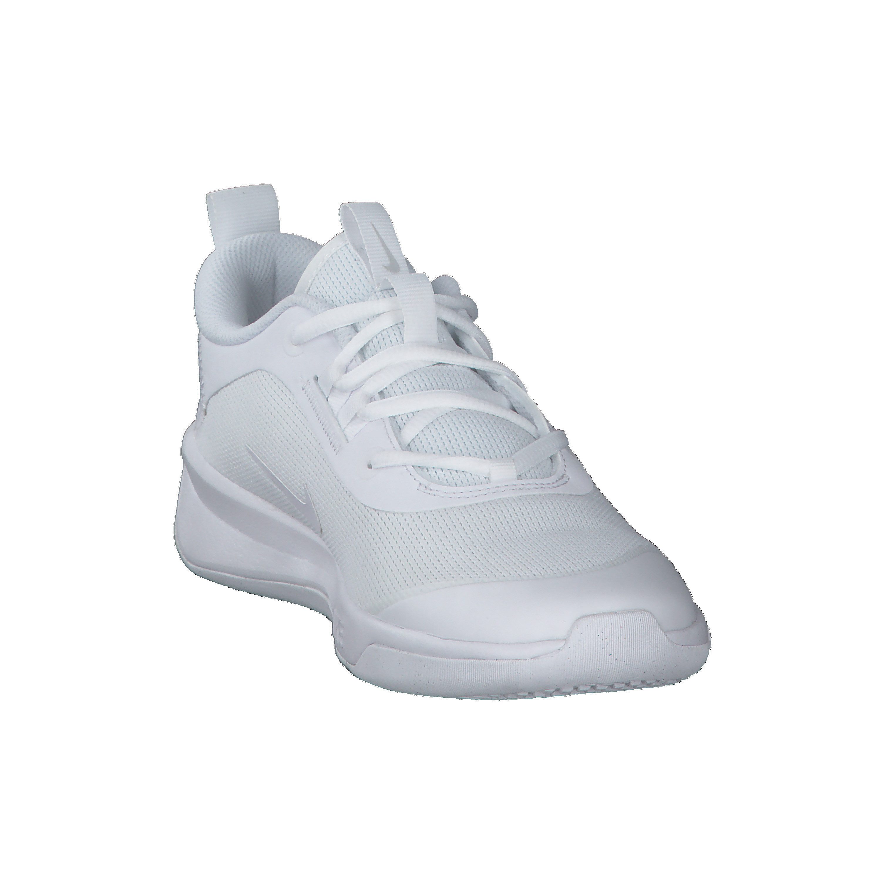 Nike Nike Kinder Hallenschuhe Omni Multi-Court DM9027 Hallenschuh