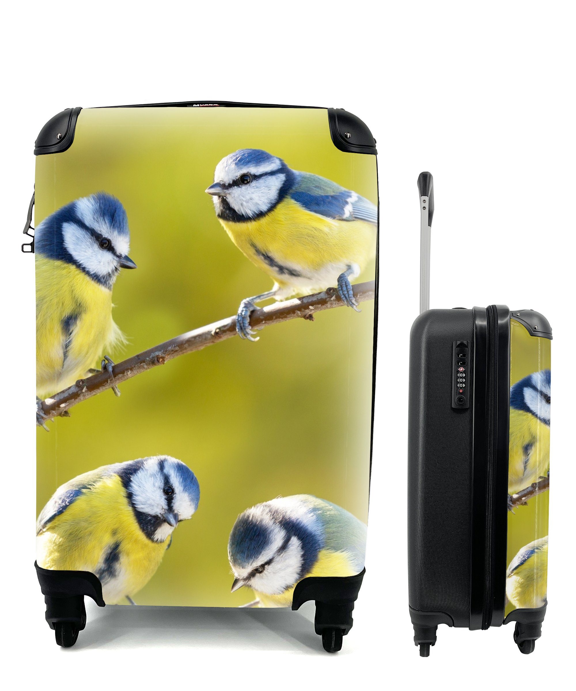Ferien, MuchoWow Trolley, rollen, - Reisetasche Äste - Rollen, für 4 Vogel Sonne, mit Handgepäckkoffer Handgepäck - Blaumeise Reisekoffer