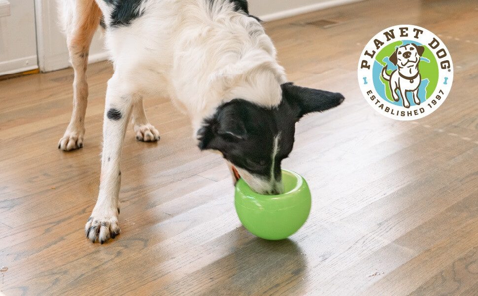 Outward Hound Tier-Intelligenzspielzeug Planet Dog Snoop günstig online kaufen