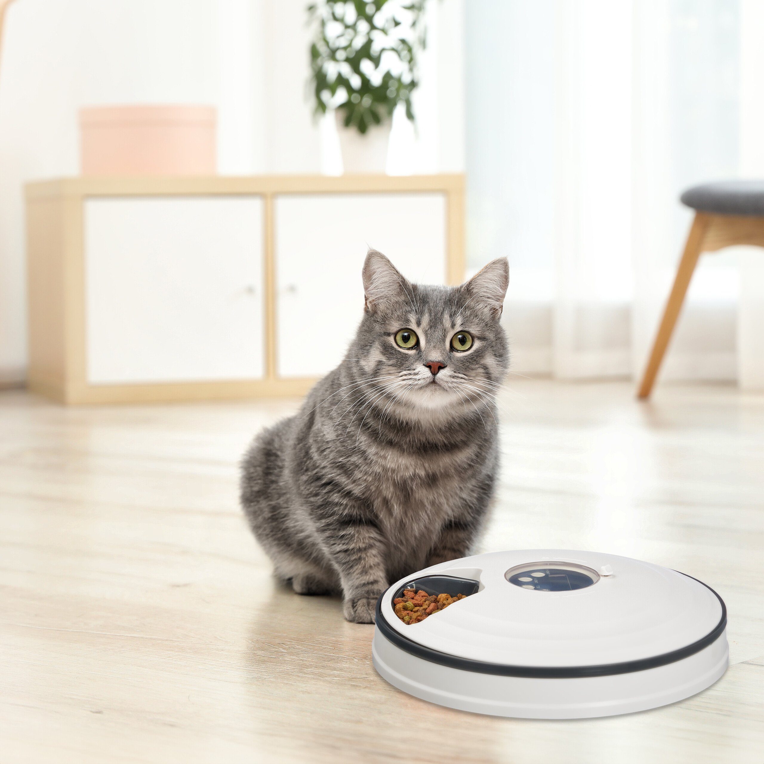 relaxdays Katzen-Futterautomat Futterautomat für Katzen