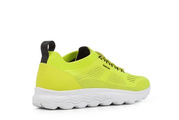 Geox Sneaker