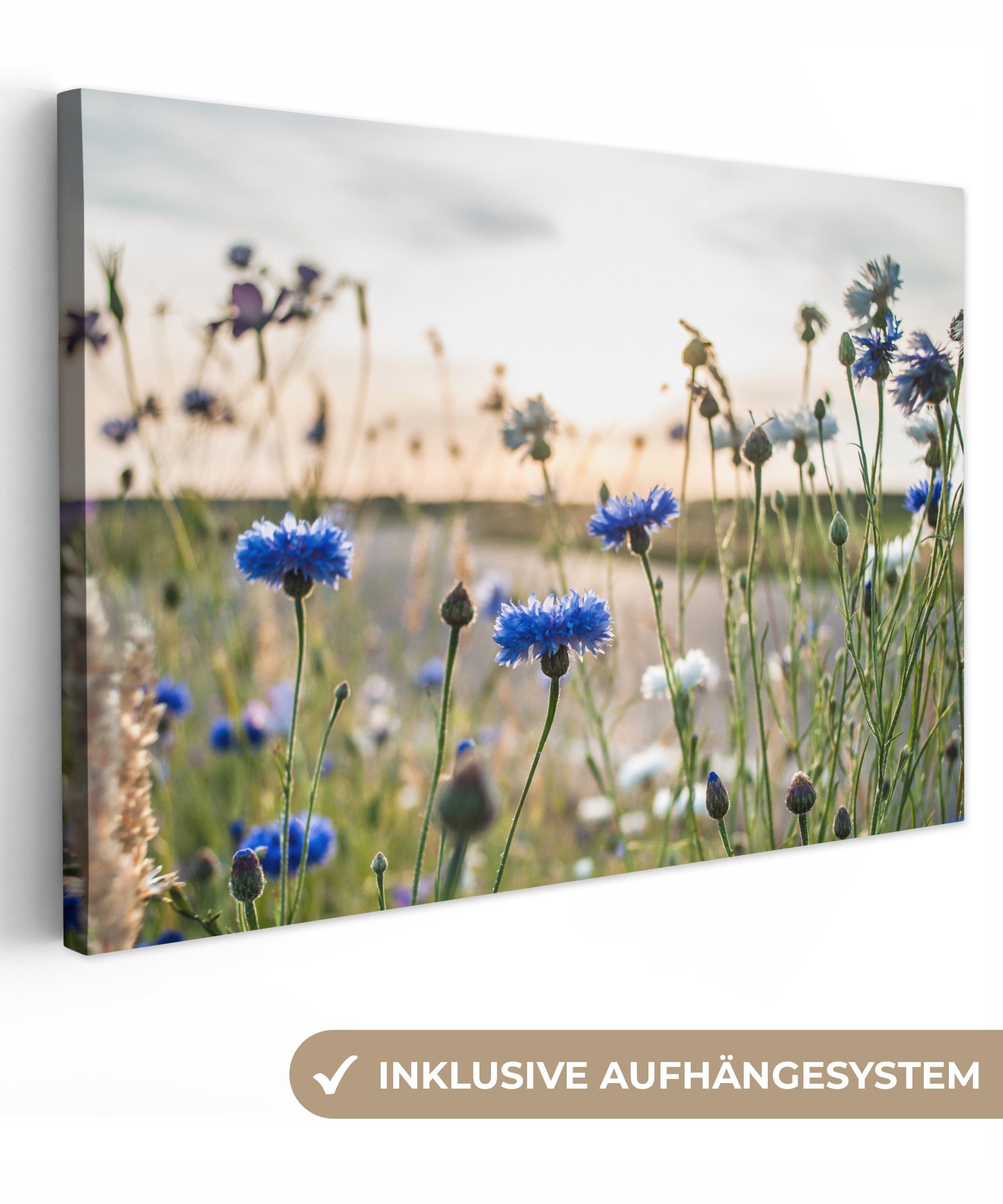 OneMillionCanvasses® Leinwandbild Blumen - Sommer - günstig online kaufen