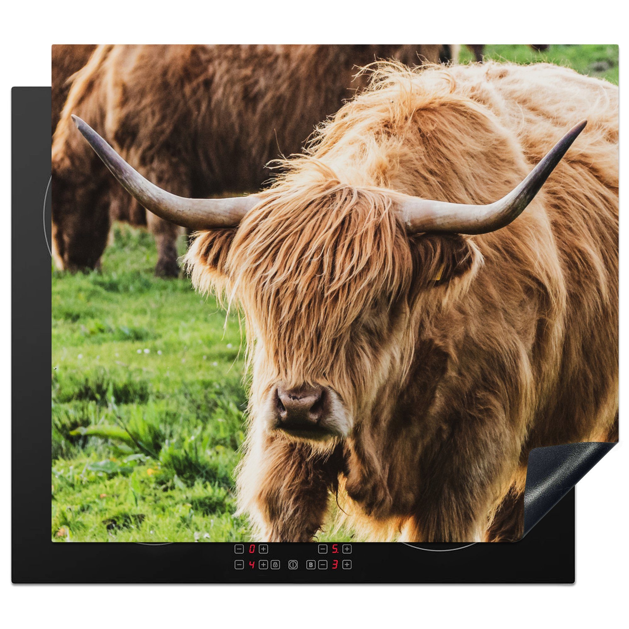 MuchoWow Herdblende-/Abdeckplatte Herde - Schottischer Hochländer - Gras, Vinyl, (1 tlg), 59x52 cm, Ceranfeldabdeckung für die küche, Induktionsmatte