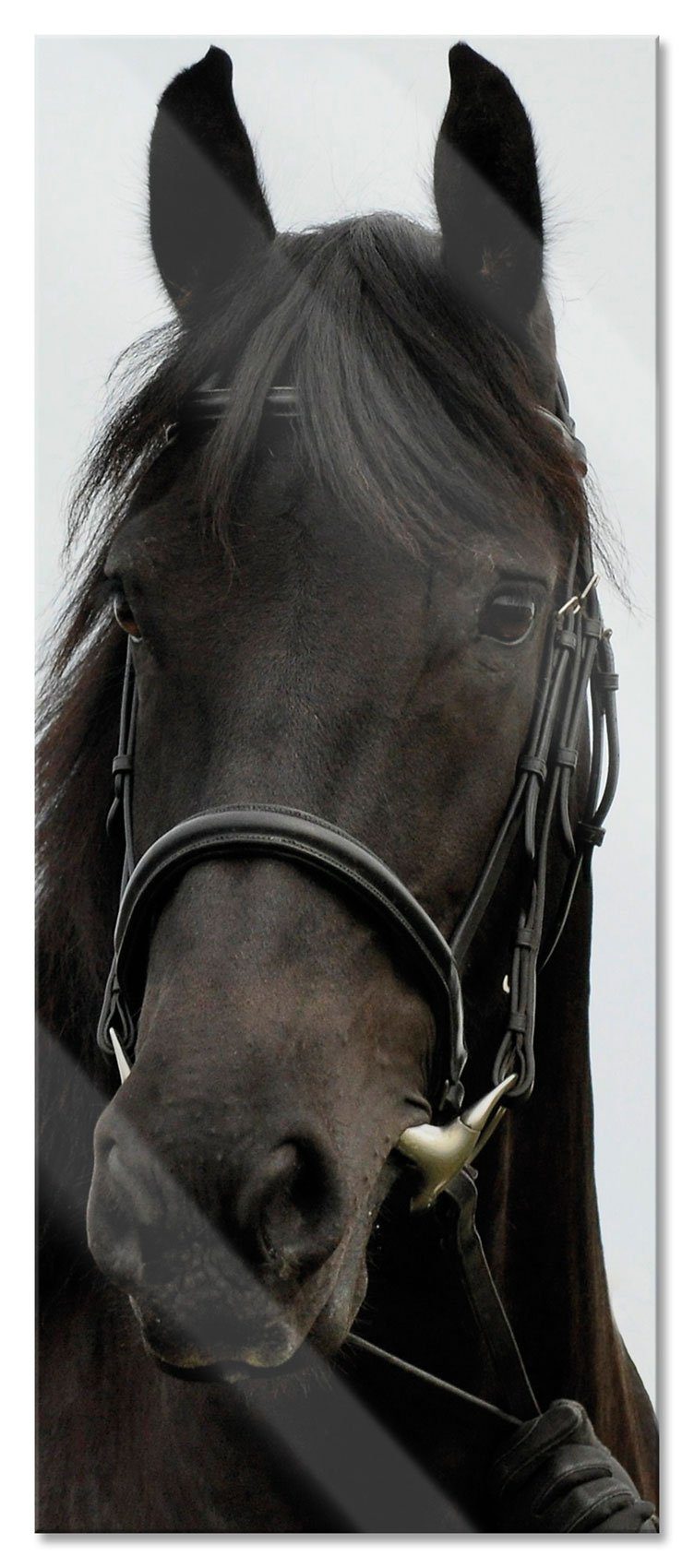 Pixxprint Glasbild braunes Pferd, braunes Pferd (1 St), Glasbild aus Echtglas, inkl. Aufhängungen und Abstandshalter