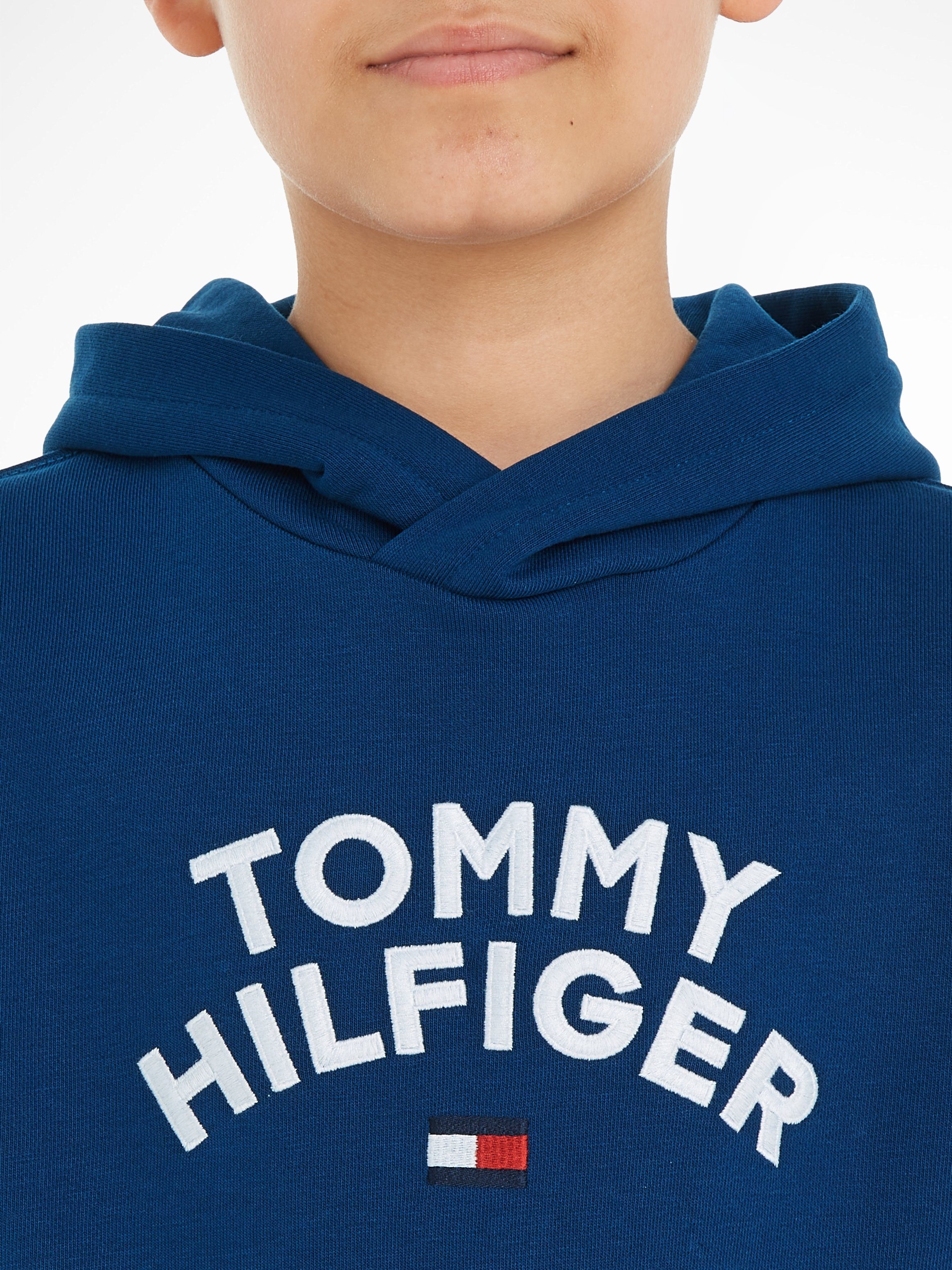 TOMMY Hoodie Tommy HILFIGER FLAG HOODIE Hilfiger