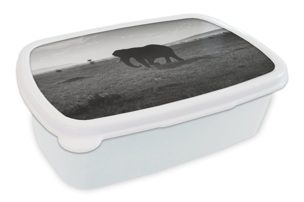 MuchoWow Lunchbox Elefant - Einfarbig - Tiere - Schwarz und weiß, Kunststoff, (2-tlg), Brotbox für Kinder und Erwachsene, Brotdose, für Jungs und Mädchen