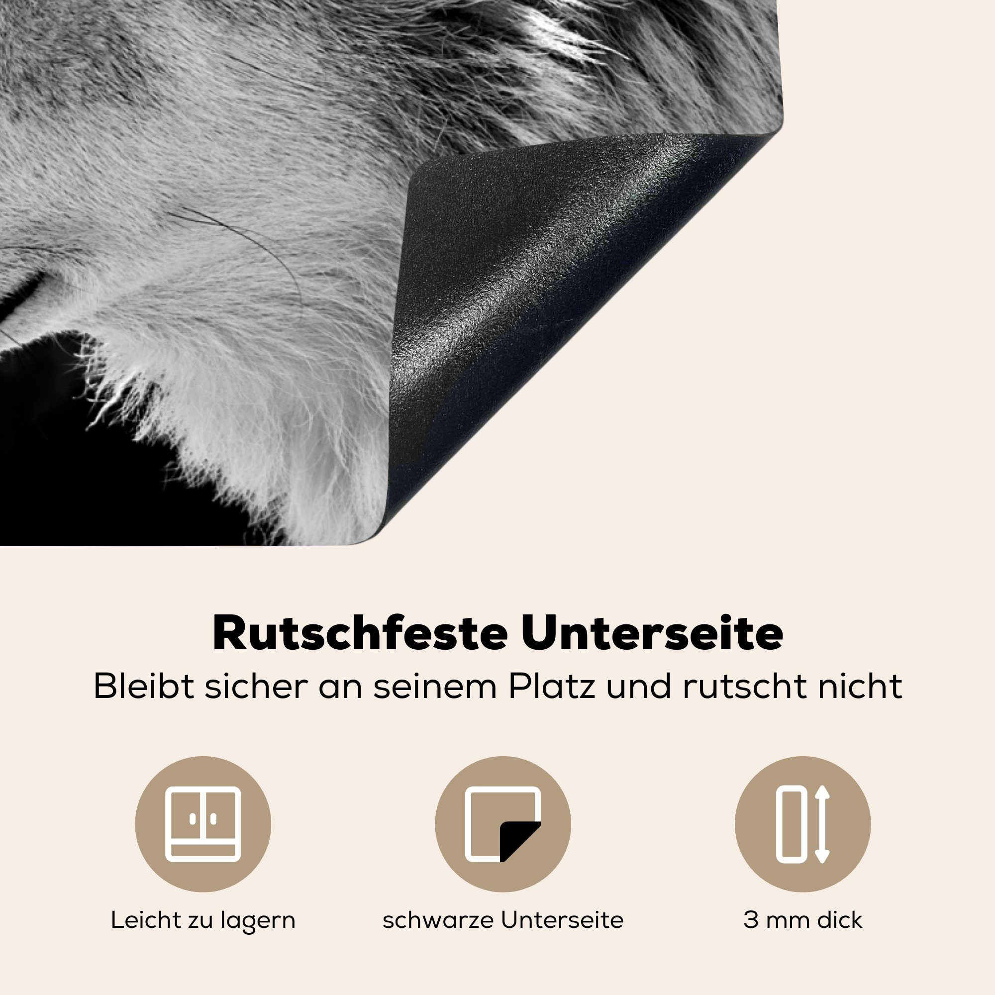 Herdblende-/Abdeckplatte Arbeitsplatte MuchoWow Vinyl, Wildlife Ceranfeldabdeckung, 81x52 (1 für tlg), Schwarz - - Weiß, - Wolf küche cm,