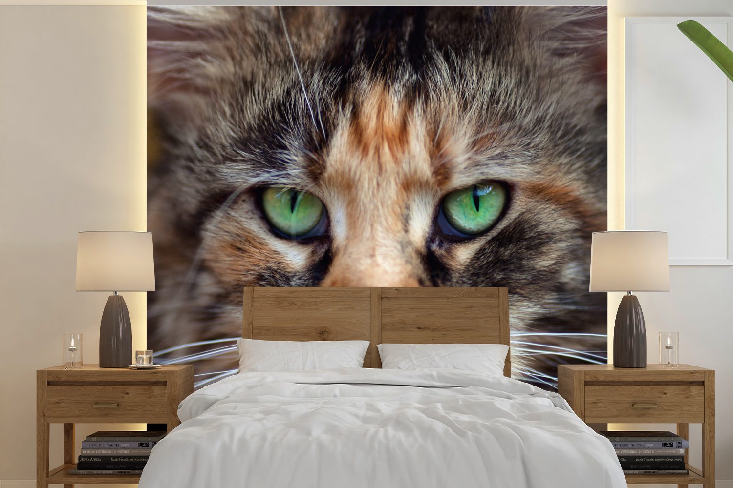 Augen, grünen MuchoWow Matt, oder Wohnzimmer für Maine mit Schlafzimmer, Vinyl Tapete (5 Fototapete bedruckt, St), Wandtapete Coon Katze
