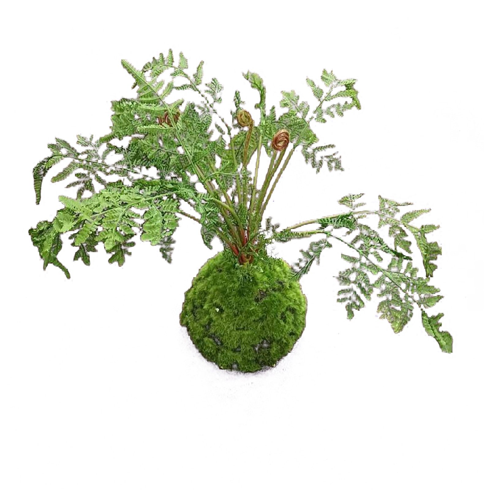 Kunstblume Kunstpflanze Farn-Busch Flora Farn, HTI-Living, günstig online kaufen