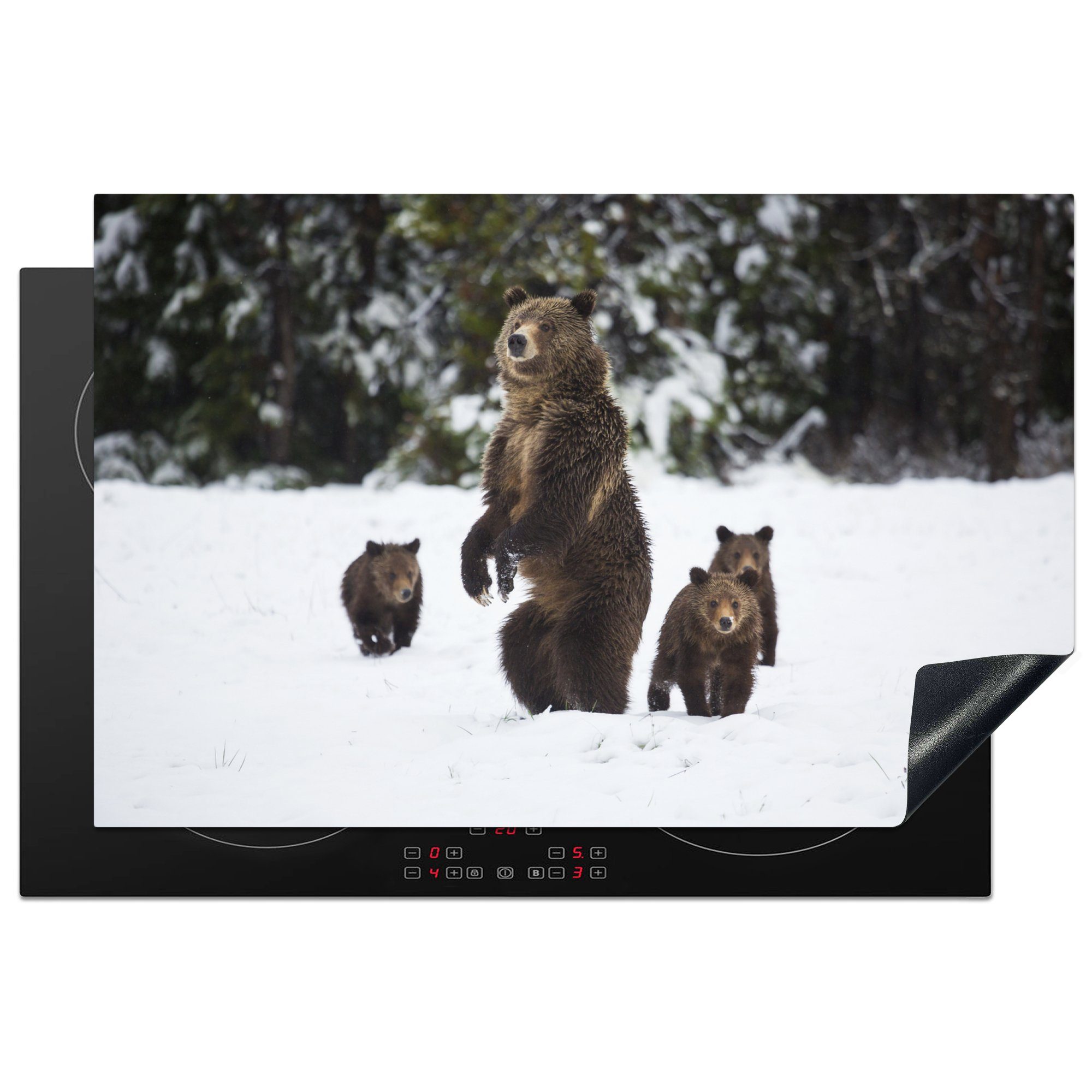 MuchoWow Herdblende-/Abdeckplatte Stehender Grizzlybär, Vinyl, (1 tlg), 81x52 cm, Induktionskochfeld Schutz für die küche, Ceranfeldabdeckung