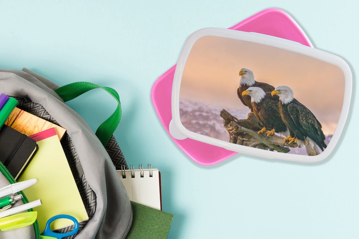 MuchoWow Lunchbox Vögel - Natur Raubvögel - Kunststoff, (2-tlg), Adler, - Kinder, Mädchen, Erwachsene, Kunststoff rosa für Brotdose Brotbox Snackbox