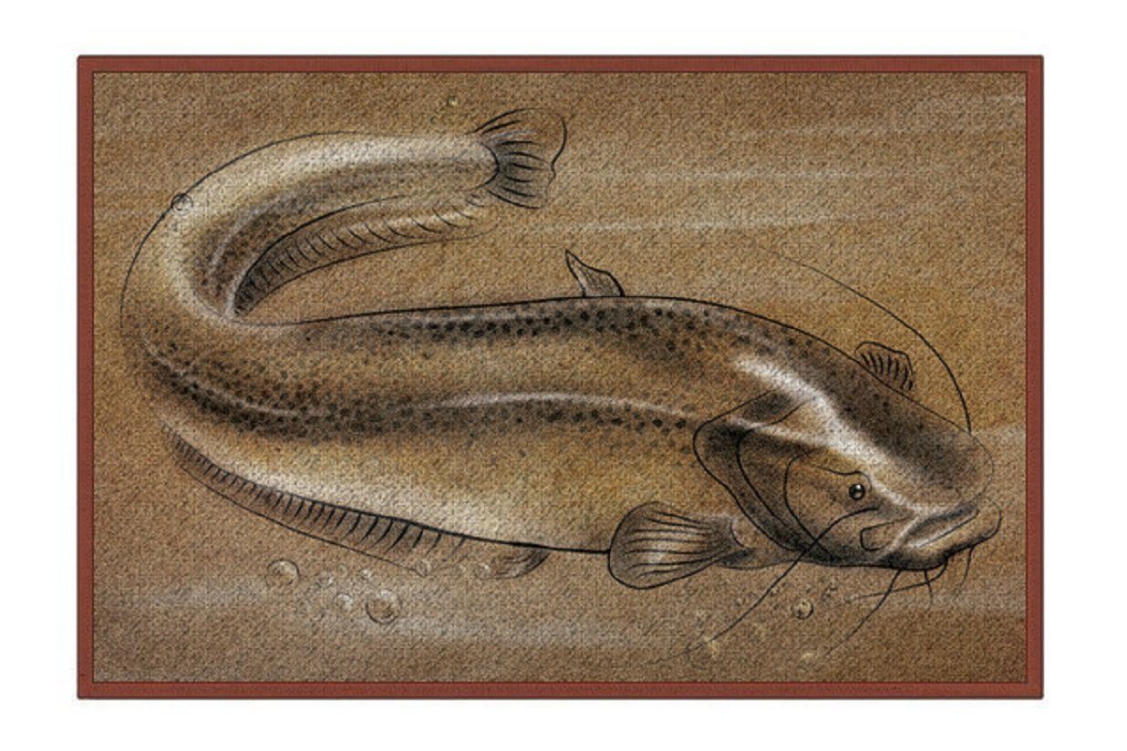 Delphin.sk Fußmatte Fußmatten 6 Sorten Fischmotive günstig online kaufen