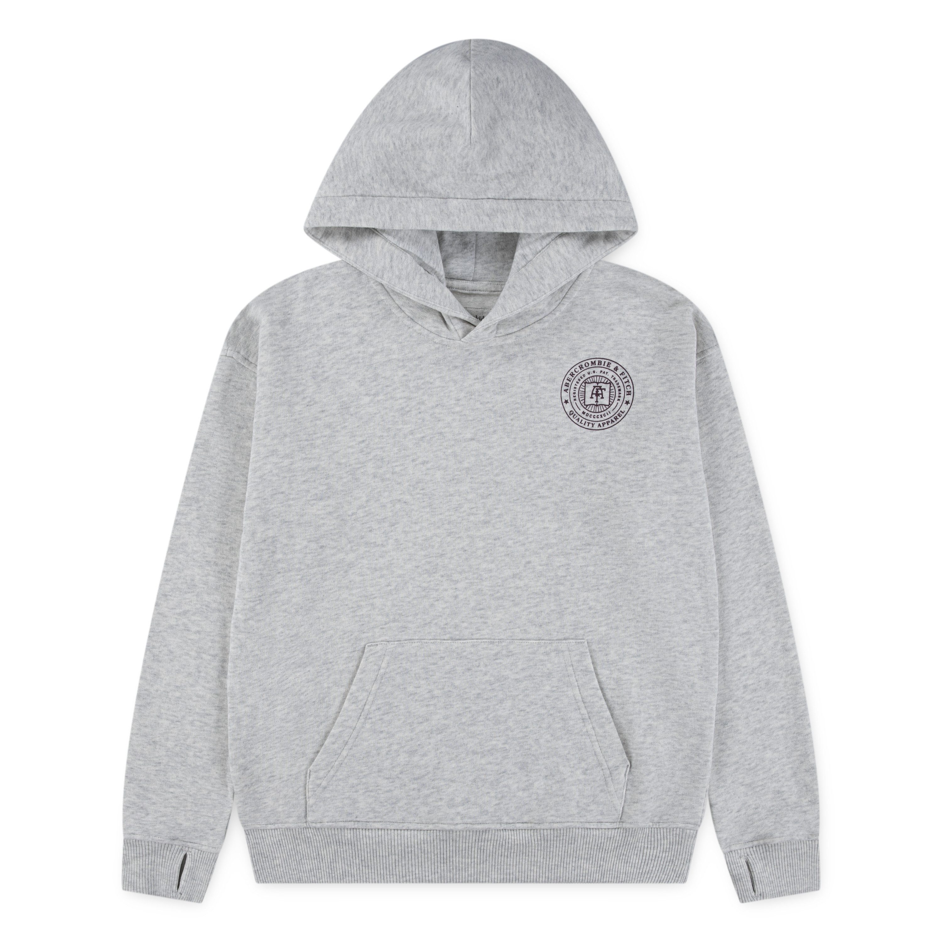 Abercrombie Kids Kapuzensweatshirt AFB FASHION HOODIE mit großem Rückenprint, for boys