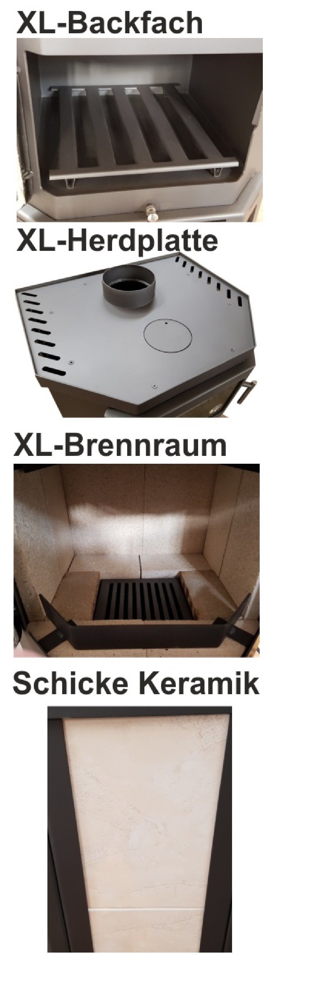 Victoria 05 Kaminofen Taro 2F Backfach, 9,53 kW günstig online kaufen