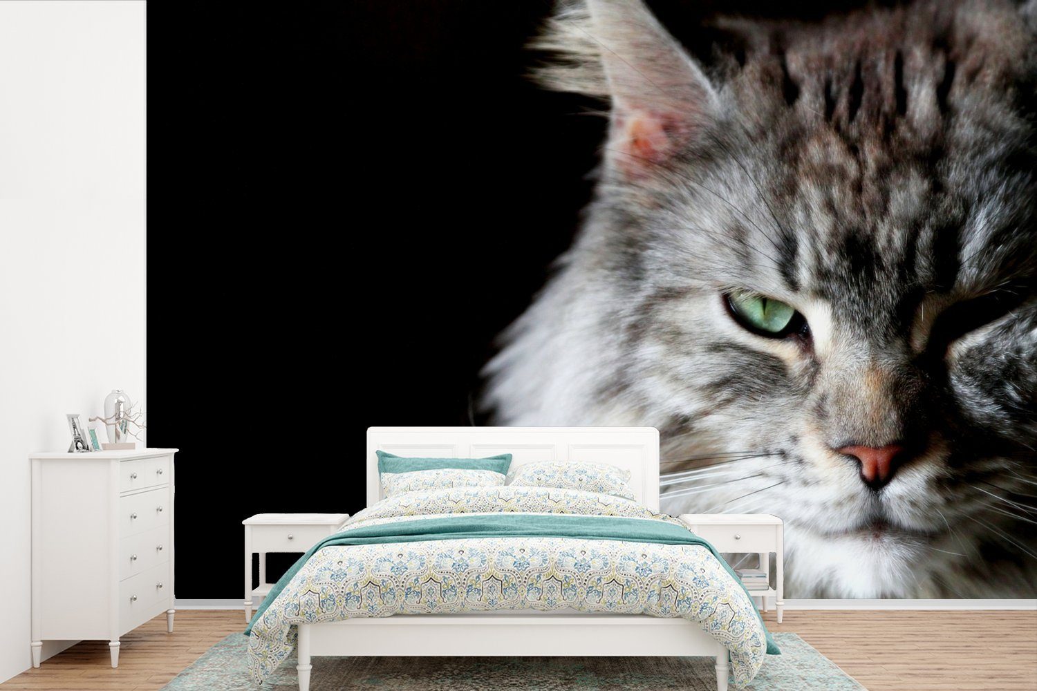MuchoWow Fototapete Porträt einer graufarbigen Maine Coon Katze, Matt, bedruckt, (6 St), Wallpaper für Wohnzimmer, Schlafzimmer, Kinderzimmer, Vinyl Tapete