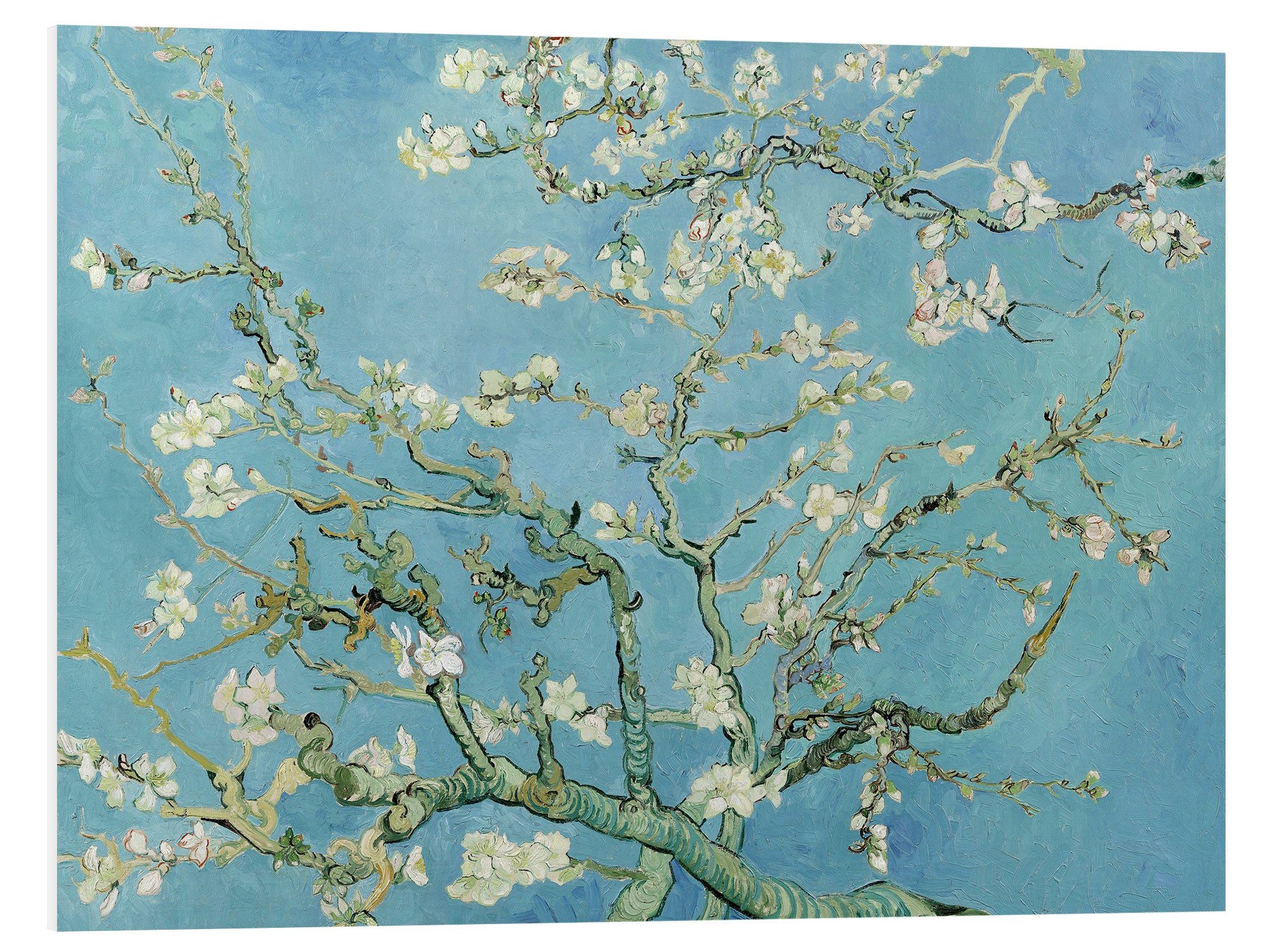 Posterlounge Wandbild Mandelblüte, Vincent van Gogh, erhältlich als Poster, Leinwandbild, Wandsticker oder Acrylglasbild