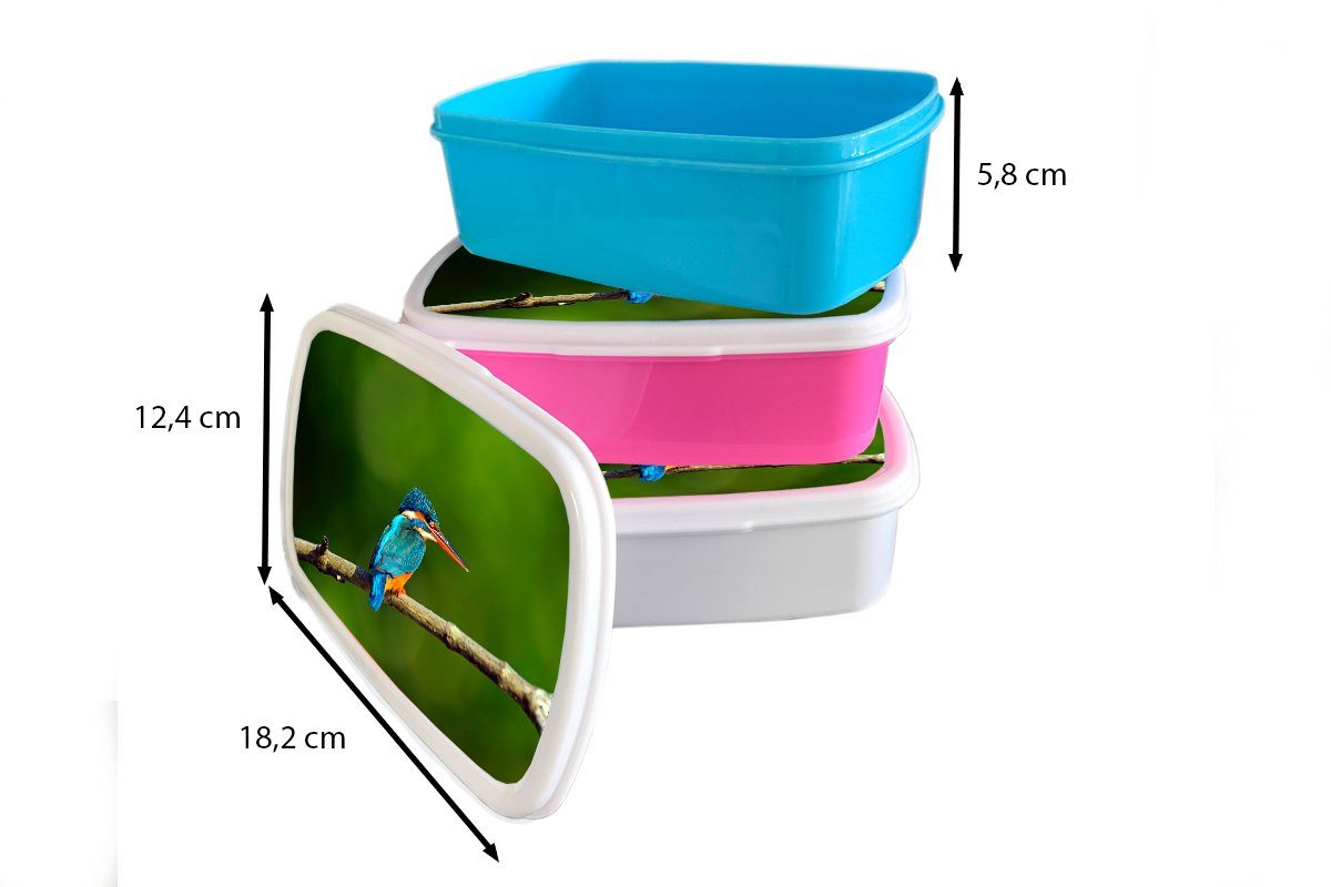 (2-tlg), Mädchen Kinder und MuchoWow Jungs und Lunchbox - Erwachsene, Brotdose, für Brotbox Lanka Sri weiß - Kunststoff, Eisvogel, für Wildtiere